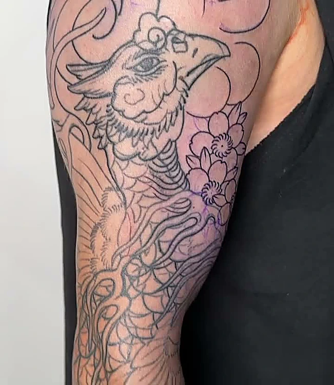 Línea de un fénix con flores de cerezo sobre el hombro, primera sesión de una pieza japonesa